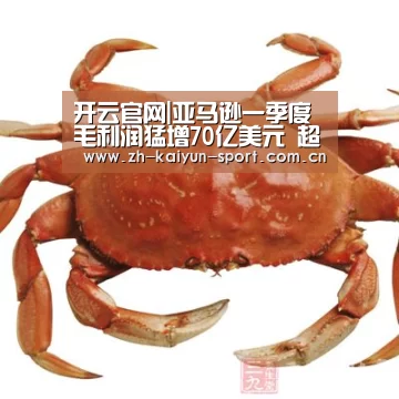 开云官网|亚马逊一季度毛利润猛增70亿美元 超五大零售商增幅总和(图1) 开云